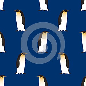 Seamless pattern. Cute Emperor penguins on a dark blue background. Realistic birds of the Antarctic. Vector for packaging, paper,