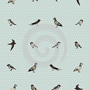 Seamless pattern with cute little birds