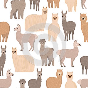 Seamless pattern with cute llamas and alpacas on white background. Backdrop with funny wild wooly domestic animals photo