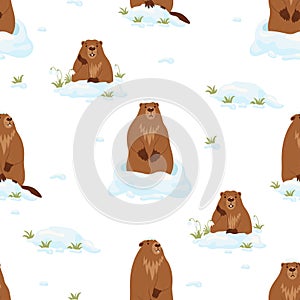 Seamless pattern with cute marmots with snow and snowdrops on white background. Vector illustration. Holiday design