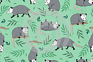 Seamless pattern with cute opossums and leaves. Vector graphics