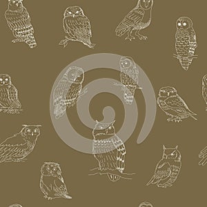 Seamless pattern of cute owls on a brown background