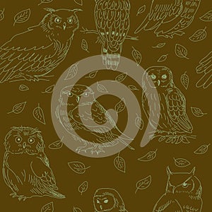Seamless pattern of cute owls on a green background