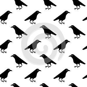 Seamless pattern of cute raven crow vector on white background. Funny illustration