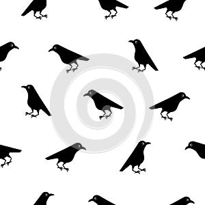 Seamless pattern of cute raven crow vector on white background. Funny illustration