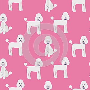 Seamless pattern with cute white poodles pink background. Girlish style dog pattern.