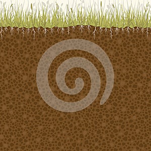 Seamless pattern of cutting the soil with grass and roots.