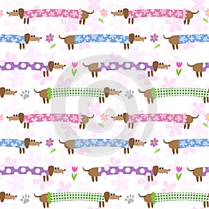 Seamless pattern with dachshunds