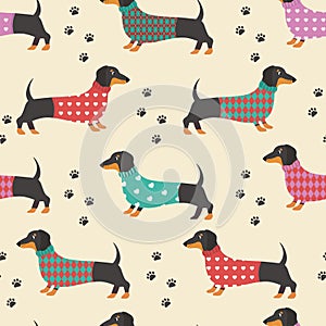 Seamless pattern with dachshunds in clothes and dog prints