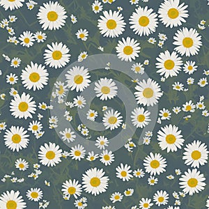 seamless pattern with daisies seamless pattern seamless pattern with camomiles
