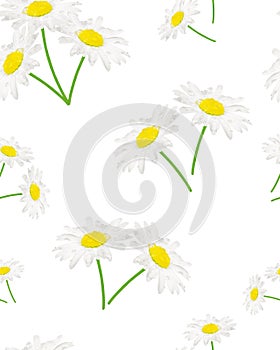 Seamless pattern of daisies and on a white background