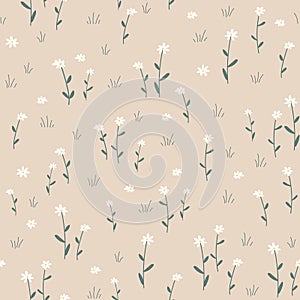 Seamless pattern with daisy flower. Small white flowers and green leaves on beige background. Cute floral print. Vector