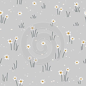 Seamless pattern with daisy flower. Small white flowers and green leaves on grey background. Cute floral print. Vector