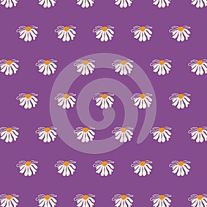 Seamless pattern daisy Lilac background dards posters banners Spring Summer clothes Packaging wallpaper template Textile