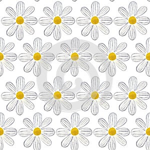 Seamless pattern with daisy on white background, hand painted watercolor illustration