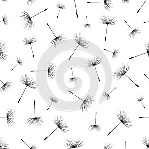 Seamless pattern with dandelion fluff silhouette