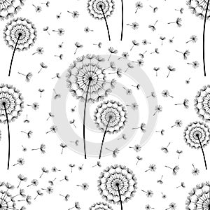 Seamless pattern with dandelions fluff