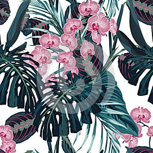 Seamless pattern, dark green colors palm leaves and tropical pink orchid flowers on white background.