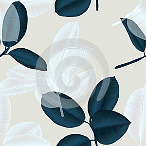 Seamless pattern, dark green and white Ficus Elastica leaves on light pink