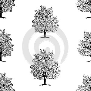 Seamless pattern of deciduous tree sketch