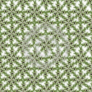 Seamless pattern, decoration, background of natural green branches of pine collected in various geometric shapes