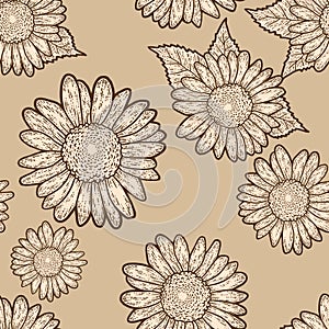 Seamless pattern. Decorative flower of a sunflower. Sketch scratch board imitation.