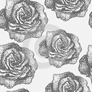 Seamless pattern with decorative magnolias flowers. Vector flora