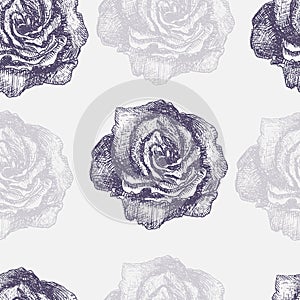 Seamless pattern with decorative magnolias flowers. Vector flora