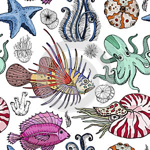 Seamless pattern with deepwater organisms photo