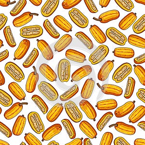 Seamless pattern with Delicata squash