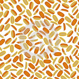 Seamless pattern with Delicata squash. Flat style