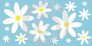 Seamless pattern delicate chamomile flowers retro style. EPS10 vector