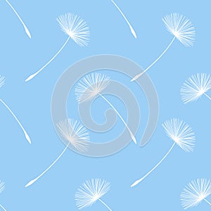 Seamless pattern with delicate white dandelion flower heads on baby blue background