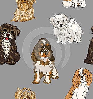 Seamless pattern of different breeds of dogs