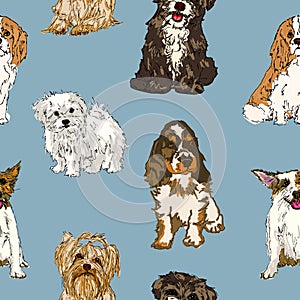 Seamless pattern of different breeds of dogs