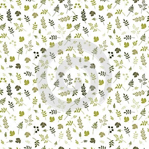 Seamless pattern with different green leaves on white background