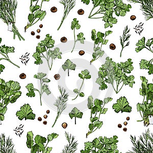 Seamless pattern of different herbs and spices. Hand drawn ink and colored sketch isolated on white background.