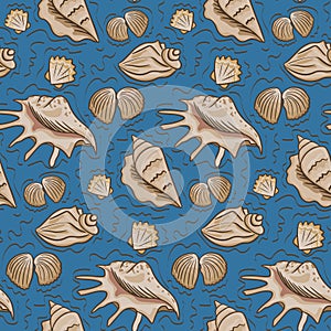 Seamless pattern with different kind of seashells