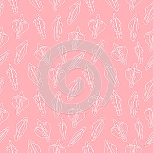 Seamless pattern with different type of female labia. photo