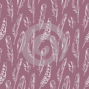 Seamless pattern of different types of birds feather