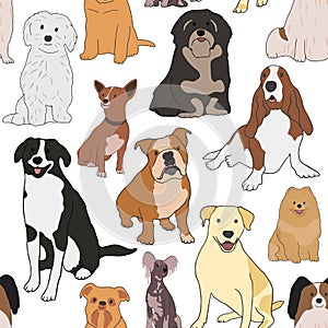 Seamless pattern with different types of small medium and large mixed breed dogs