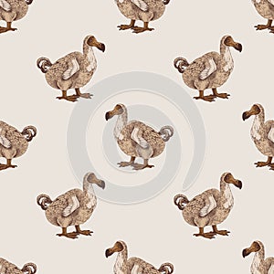 Seamless pattern with dodo extinct birds
