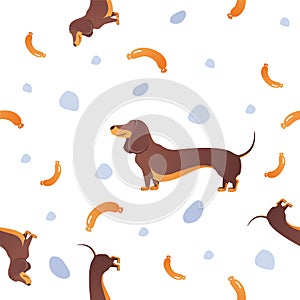 Seamless pattern with dogs and sausage