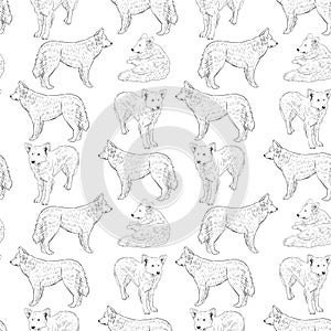 Seamless pattern with dogs. Shepherd. Sketch drawing. Black contour on a white background.