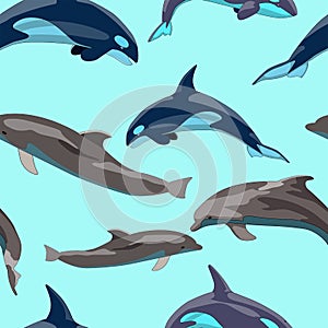 2542 sea, seamless pattern with dolphins, vector illustration, background for design