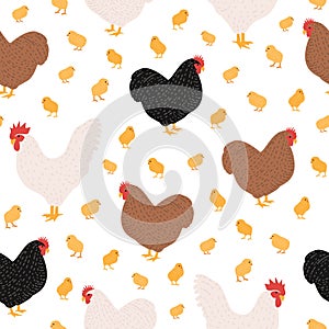 Seamless pattern with domestic birds or farm poultry on white background - and chicken, rooster, hen and chicks