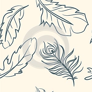 Seamless pattern. doodle feather set . Vector