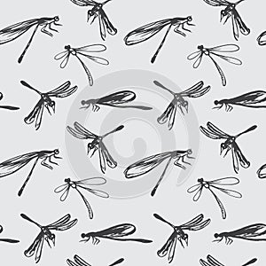 Seamless pattern with dragonflies