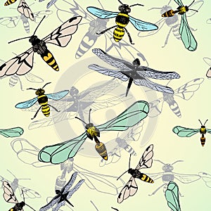 Seamless pattern of dragonfly and bee. Vector illustration/ EPS