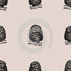 Seamless pattern of drawn owlets sitting on tree branches